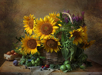 Still life with Sunflowers and fruits, Apples, Fruits, Sunflowers, Basket HD wallpaper