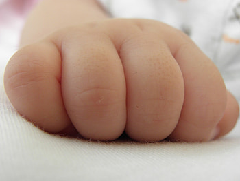 Hand Baby, puppies, children, bebek, insan HD wallpaper
