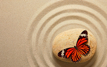 Butterfly, stone, sands, red HD wallpaper