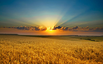 Beautiful sun, Bright light, Warmth and energy, Celestial beauty HD wallpaper