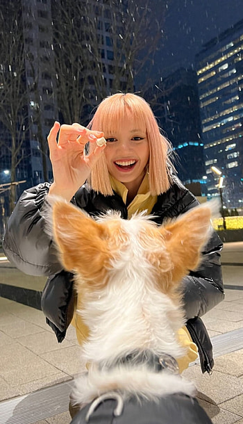 Lalisa Manoban, blackpink, kpop, girlgroup, idol, female, group HD phone wallpaper