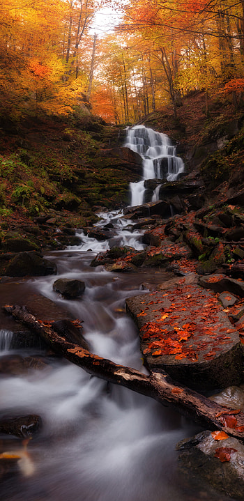 Autumn forest charm, Waterfall stream , Samsung Galaxy S8 beauty, Nature's tranquility HD phone wallpaper
