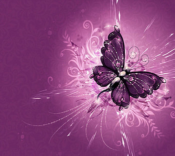 *Butterfly*, purple, butterfly, beautiful, nature, fly HD wallpaper