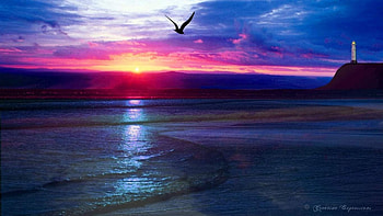 Colorful Sunset, bird, sky, nature, sunset, ocean, beach HD wallpaper