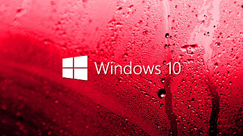 Live for Windows 10 HD wallpaper