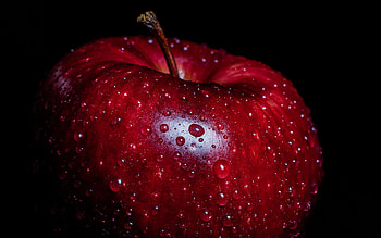 Macro background, Apple section, Macro graphy, Intricate details HD wallpaper
