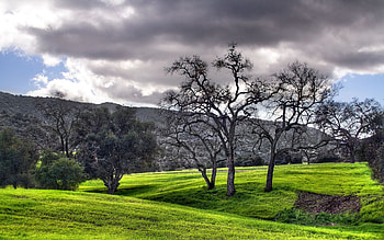 Nature, Trees, Mountains, Clouds, Grey, Plain, Meadows HD wallpaper