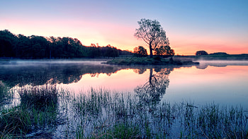 Landscape, Rivers, Trees HD wallpaper