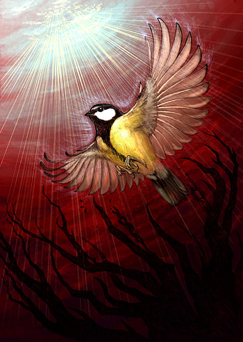 Art, Shining, Bird, Wood, Beams, Rays, Tree, Tit, Titica HD phone wallpaper