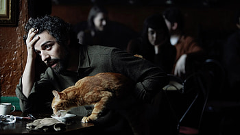Inside Llewyn Davis, Full movie online, Release date, Impressive cast HD wallpaper