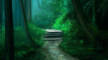 Greenery, , Path, Forest HD wallpaper