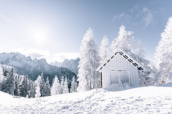 Winter, landscape, forest, white tree, snowfrost, hut HD wallpaper