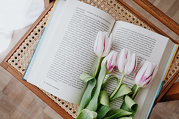 Flowers and book, reading HD wallpaper