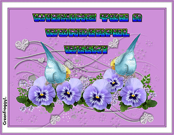 WONDERFUL WEEK, COMMENT, WEEK, CARD, WONDERFUL HD wallpaper