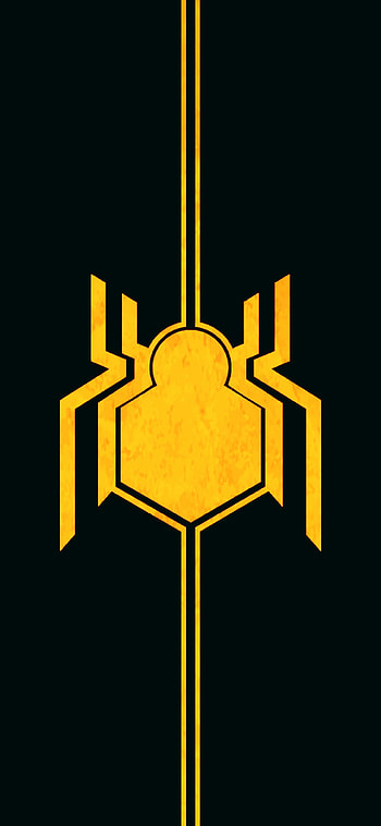 Spiderman, Tobey Maguire, multiverse, Peter Parker, Andrew Garfield, Black, black and gold, Zendaya, spiderman black suit, gold, spiderman no way home, Sinister six, green Goblin, tom Holland, Doctor strage, Electro, NWH HD phone wallpaper