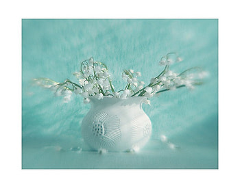 Beauty, blue, shell, petals, vase, flowers HD wallpaper