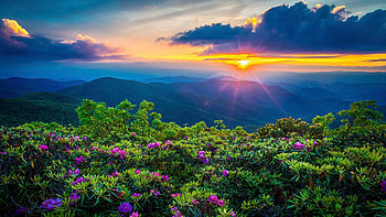 Blue Ridge Parkway near Asheville, North Carolina, sky, sun, forest, sunset, hills, colors, landscape, usa, clouds, trees, mountains HD wallpaper