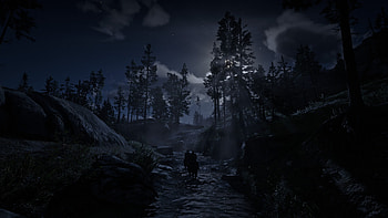 of Red Dead Redemption 2, video game, Red Dead Redemption 2, night HD wallpaper