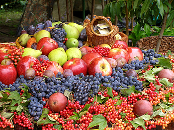 Grapes, Fruits, Food, Apples, Lot HD wallpaper