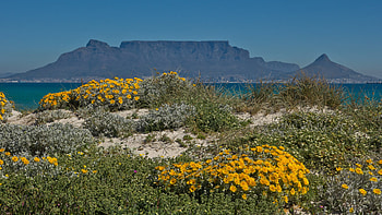 Table Mountain from Bloubergstrand, Cape Town HD wallpaper