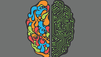Brain Minimalism, brain, minimalism, artist, digital-art HD wallpaper