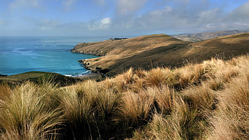 Ocean, Coast, Dry, Grass, Field, Rocks, Clouds, Blue, Sky, Scenery, Slope Nature HD wallpaper