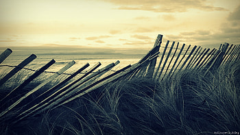 Old fance, sea, fance, landscape, view, sky, nature HD wallpaper