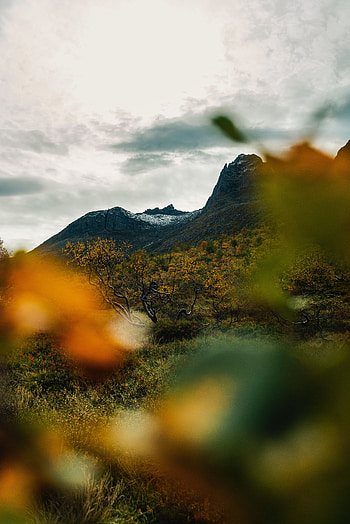 Nature, Grass, Autumn, Mountain, Blur, Smooth HD phone wallpaper