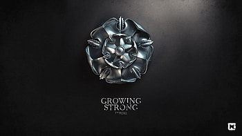 House Targaryen Sigil - Game of Thrones () (15697) HD wallpaper