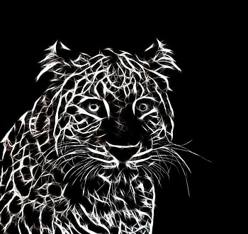 BW, minimal art, leopard, muzzle HD wallpaper