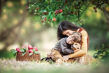ღ, Apple, Mother, Dog, Grass, Nature HD wallpaper