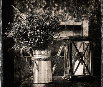STILLLIFE IN BLACK&WHITE, graphy, laterns, , bw, flowers, beauty HD wallpaper