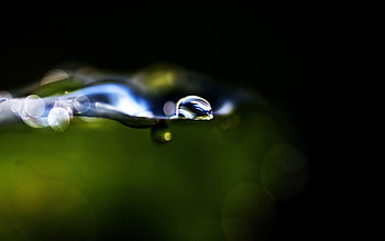 Grass, Drops, Macro, Glare, Circles, Sheet, Leaf HD wallpaper