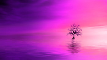 Pink, Horizon, Wood, Tree, Minimalism, Lonely, Alone HD wallpaper