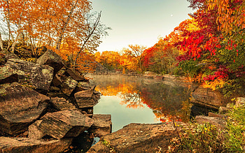 Quarry Park and Nature Preserve, Minnesota, leaves, fall, autumn, trees, colors, usa, reflections, lake HD wallpaper