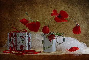 still life, bouquet, graphy, gift, beauty, nice, poppies, delicate, poppy, flower, , pot, ribbon, elegantly, beautiful, old, tape, box, pretty, red, cool, flowers, lovely, harmony HD wallpaper