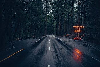Reached Unknown Place, road, trees, graphy, nature HD wallpaper