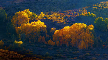 Fall like a Painting, Colorado, autumn, colors, trees, usa HD wallpaper
