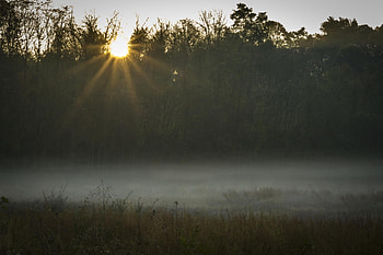 Nature, Sunset, Grass, Fog, Field, Sunlight HD wallpaper