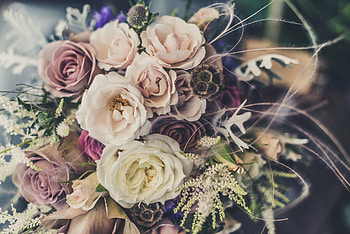 Flowers, Typography, Registration, Bouquet, Composition HD wallpaper