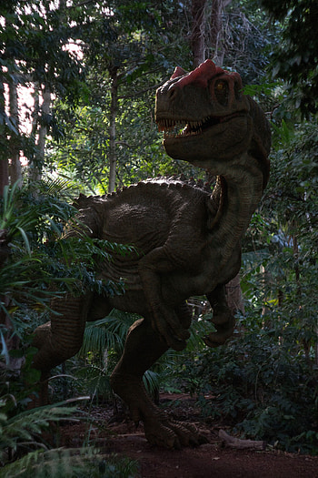 Allosaurus , Posted by Ethan Anderson, Allosaurus HD phone wallpaper