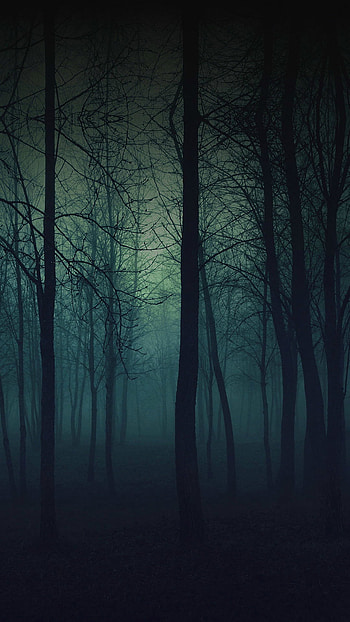 Eerie Forest Night 6 Plus HD phone wallpaper