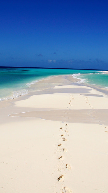 Margarita Island, Cayo de Agua, Los Roques National Park, Best beaches of 2016 HD phone wallpaper