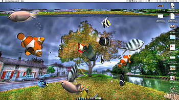 Aquarium 3D Live on Imac - YouTube HD wallpaper