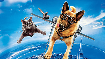 Cat And Dog Cats & Amp Dogs The Revenge Of Kitty Galore HD wallpaper