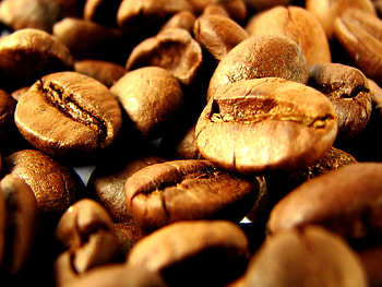 coffee beans, coffee, grain, macro HD wallpaper