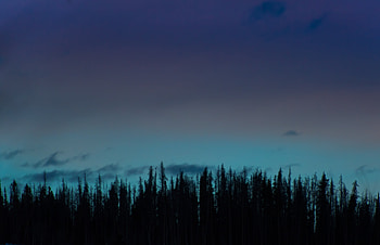 Nature, Trees, Sky, Night HD wallpaper