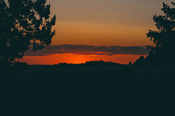 Nature, Trees, Sunset, Horizon HD wallpaper
