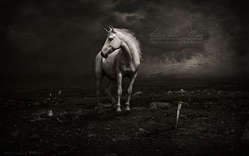 ... x 1200 ... HD wallpaper
