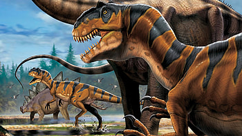 Allosaurus, Animals HD wallpaper